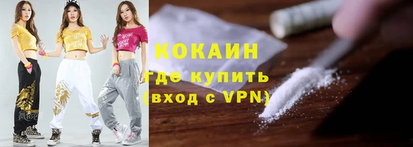 индика Армянск